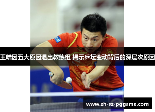 王皓因五大原因退出教练组 揭示乒坛变动背后的深层次原因