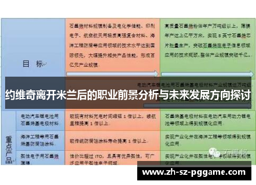 约维奇离开米兰后的职业前景分析与未来发展方向探讨