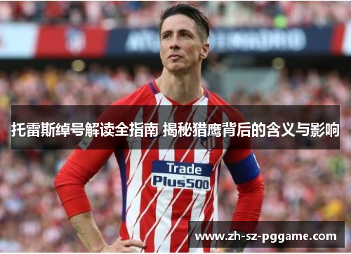 托雷斯绰号解读全指南 揭秘猎鹰背后的含义与影响 托雷斯绰号解读全指南 揭秘猎鹰背后的含义与影响