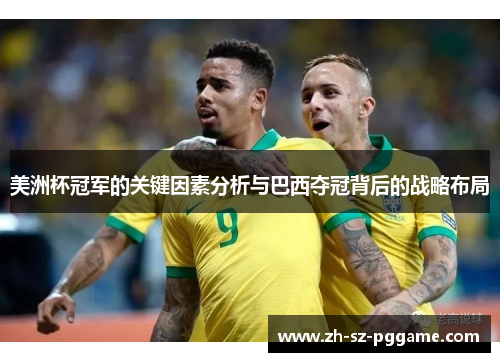 美洲杯冠军的关键因素分析与巴西夺冠背后的战略布局