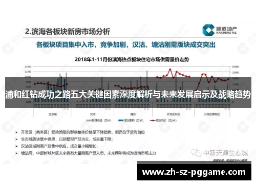 浦和红钻成功之路五大关键因素深度解析与未来发展启示及战略趋势
