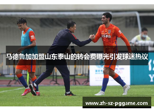 马德鲁加加盟山东泰山的转会费曝光引发球迷热议 马德鲁加加盟山东泰山的转会费曝光引发球迷热议