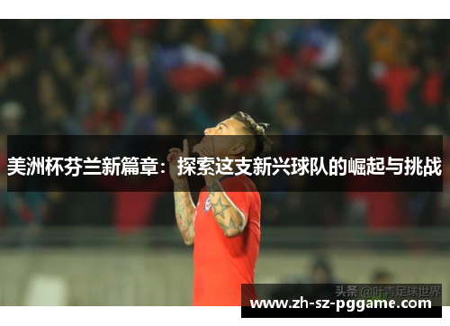 美洲杯芬兰新篇章：探索这支新兴球队的崛起与挑战