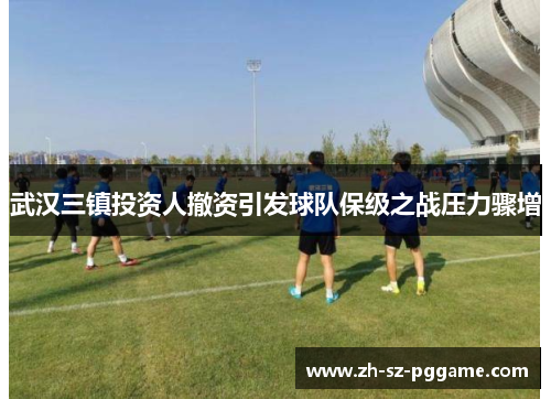武汉三镇投资人撤资引发球队保级之战压力骤增 武汉三镇投资人撤资引发球队保级之战压力骤增